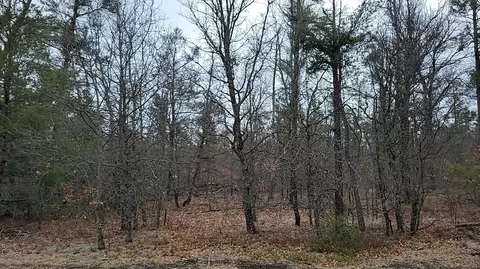 20 Acres Sandy #20 ACRES, Grayling, MI 49738 photo 5