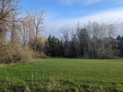 N/a Pine, Omer, MI 48749