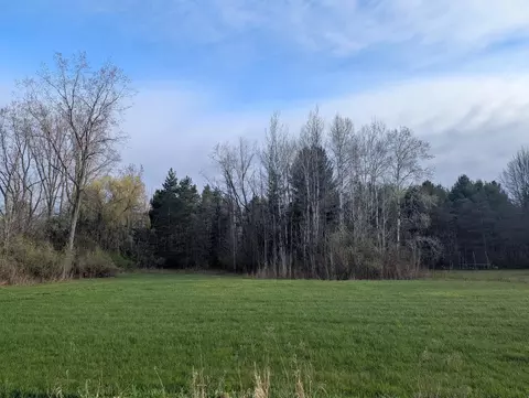 N/a Pine, Omer, MI 48749 photo 3