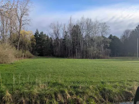 N/a Pine, Omer, MI 48749 photo 5
