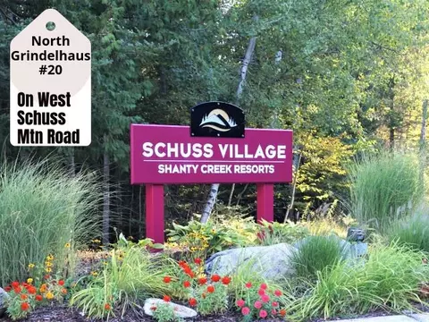 20 W Schuss Mtn, Bellaire, MI 49615