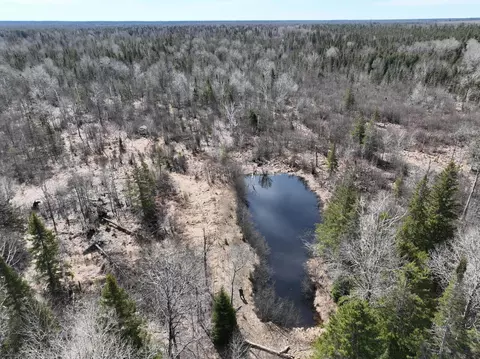 69 Michigan 28, Eckerman, MI 49728
