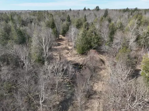 69 Michigan 28, Eckerman, MI 49728 photo 3