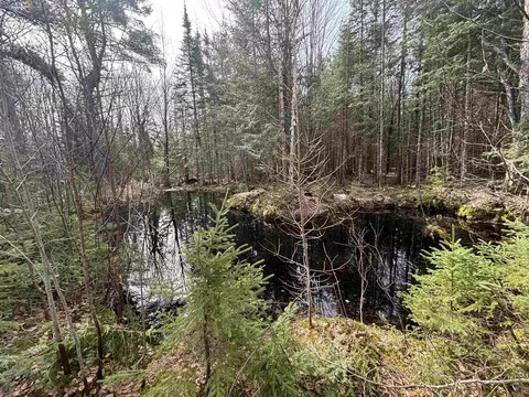 69 Michigan 28, Eckerman, MI 49728 photo 7