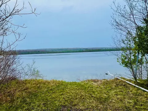 1368 S M-88, Bellaire, MI 49615