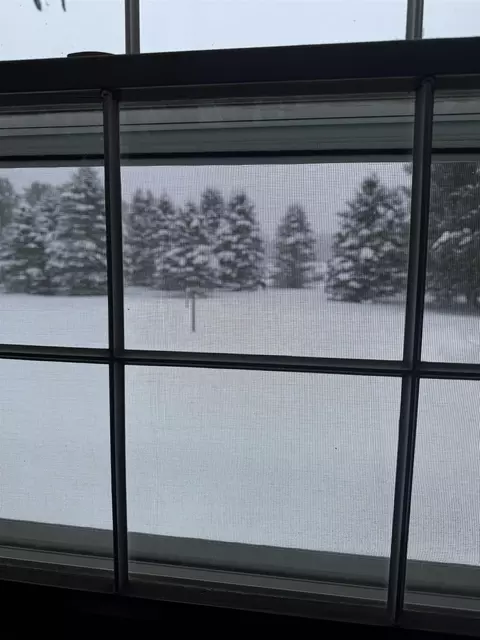 515 Thumb Lk, Vanderbilt, MI 49795 photo 4