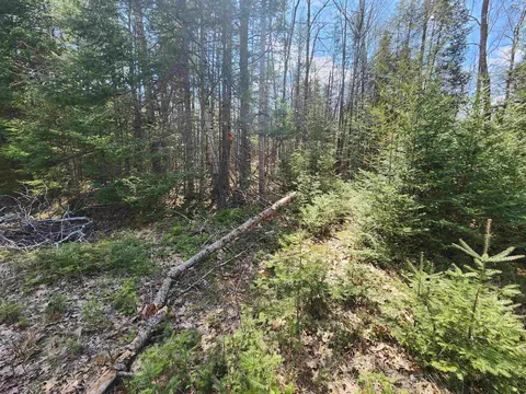 S Spruce, Glennie, MI 48737