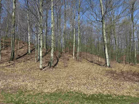 0000 W Timber Vw, Empire, MI 49630