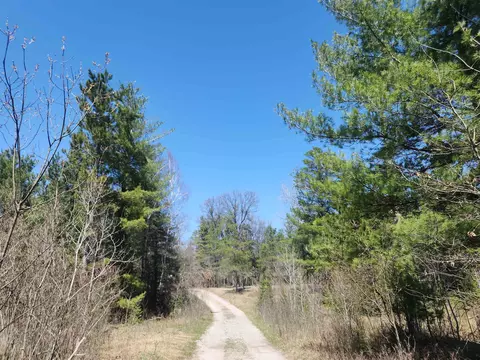 0 Elbow, Grayling, MI 49738 photo 11