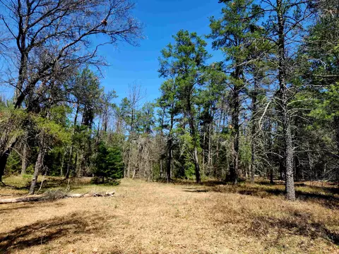 0 Elbow, Grayling, MI 49738 photo 19