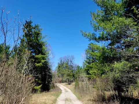 0 Elbow, Grayling, MI 49738 photo 18