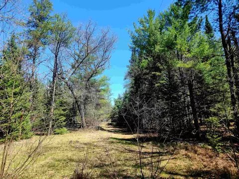 0 Elbow, Grayling, MI 49738 photo 14