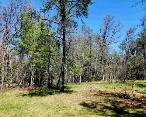 0 Elbow, Grayling, MI 49738 photo 4