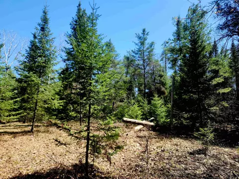 0 Elbow, Grayling, MI 49738 photo 13