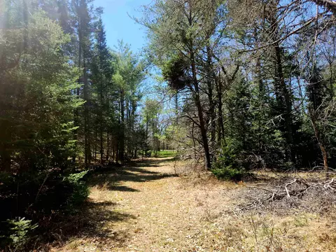 0 Elbow, Grayling, MI 49738 photo 6