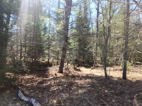 0 Elbow, Grayling, MI 49738 photo 9