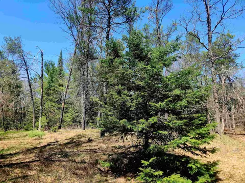 0 Elbow, Grayling, MI 49738 photo 20