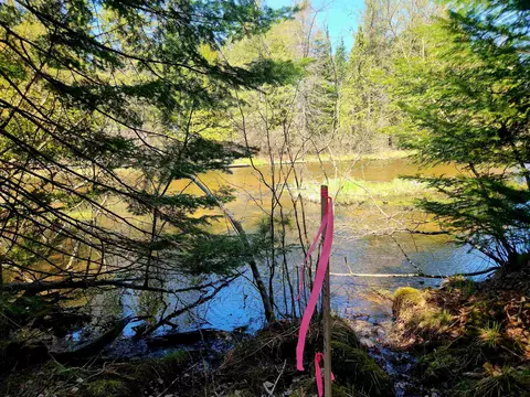 0 Elbow, Grayling, MI 49738 photo 3