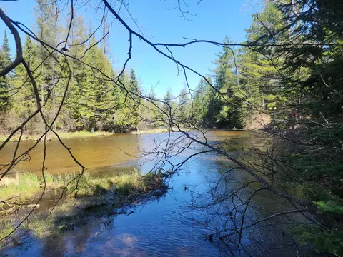 0 Elbow, Grayling, MI 49738 photo 2