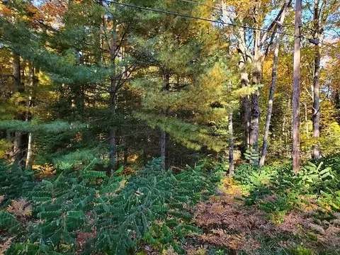 0 Scenic Riv #LOT : 22-23, Alger, MI 48610