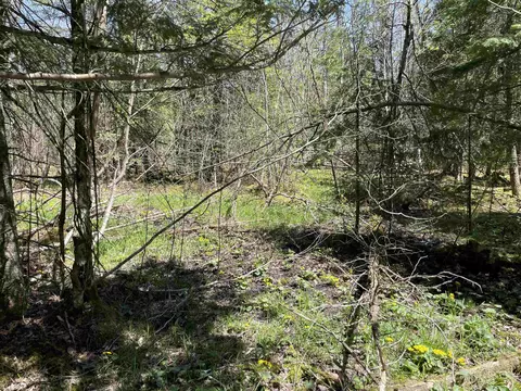 000 E 38, Cadillac, MI 49601 photo 33