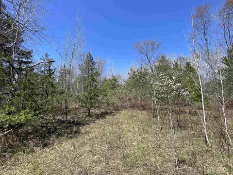 000 E 38, Cadillac, MI 49601 photo 38