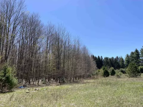 000 E 38, Cadillac, MI 49601 photo 12