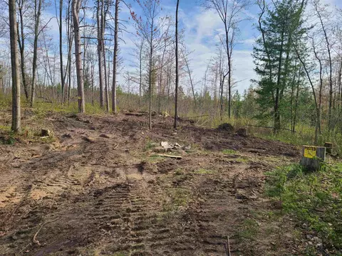 298 E Surrey, Farwell, MI 48622 photo 4