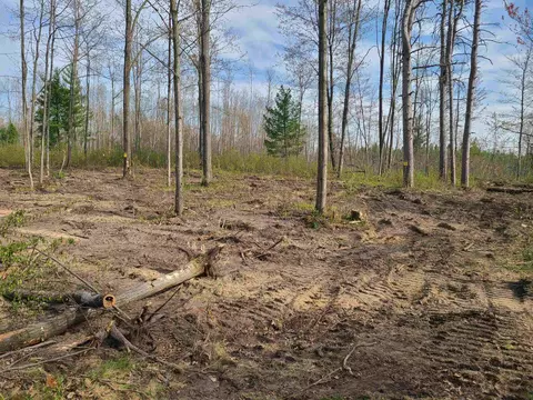 298 E Surrey, Farwell, MI 48622 photo 3