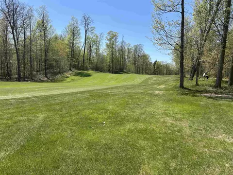 lot8 Whitetail, Bellaire, MI 49615