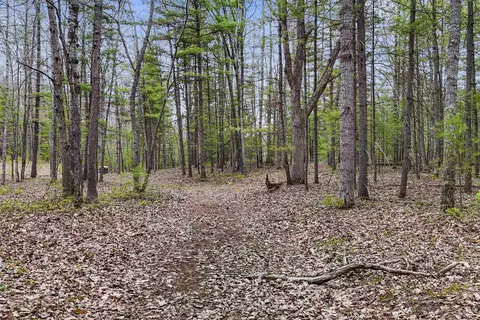 0 Dubonnet, Interlochen, MI 49643 photo 6