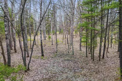 0 Dubonnet, Interlochen, MI 49643 photo 3