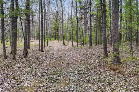0 Dubonnet, Interlochen, MI 49643 photo 5