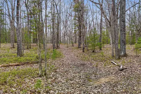 0 Dubonnet, Interlochen, MI 49643 photo 2