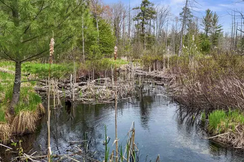 0 Dubonnet, Interlochen, MI 49643