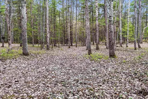 0 Dubonnet, Interlochen, MI 49643 photo 4