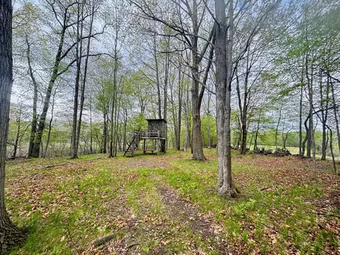 tbd Neff, Edmore, MI 48829 photo 9