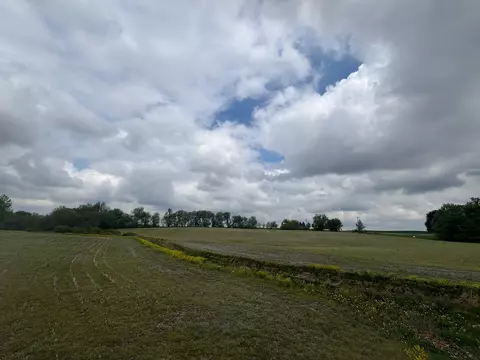 tbd Neff, Edmore, MI 48829 photo 4