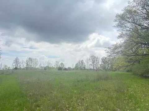 tbd Neff, Edmore, MI 48829 photo 11