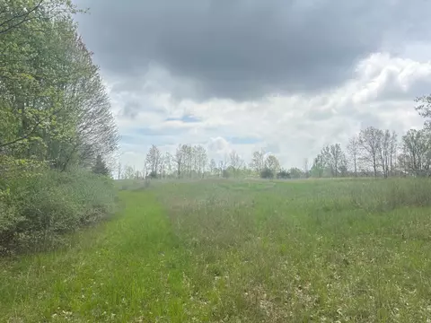 tbd Neff, Edmore, MI 48829 photo 12