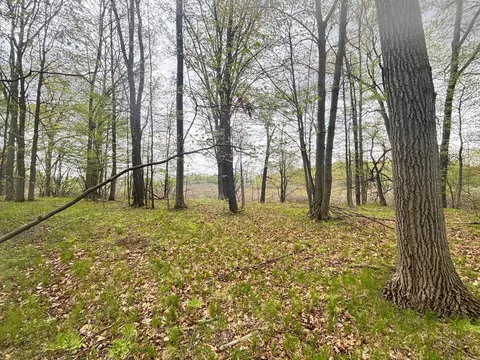 tbd Neff, Edmore, MI 48829 photo 10