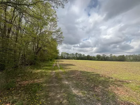 tbd Neff, Edmore, MI 48829 photo 6