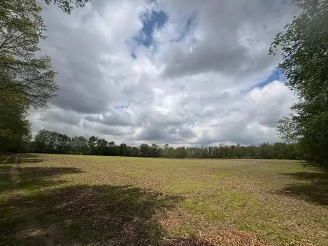 tbd Neff, Edmore, MI 48829 photo 5
