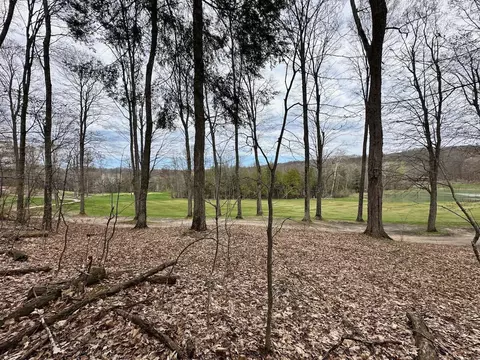 Unit 19 Forest, Bellaire, MI 49615