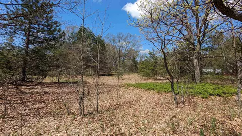 lot19 Wingert #PARKVIEW ESTATES, Brethren, MI 49645