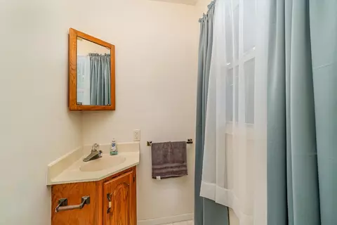 873 E Remus, Mount Pleasant, MI 48858 photo 21
