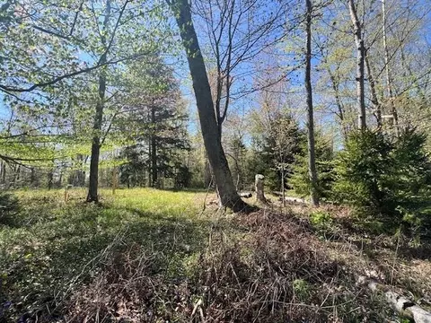 000 Flees, Northport, MI 49670