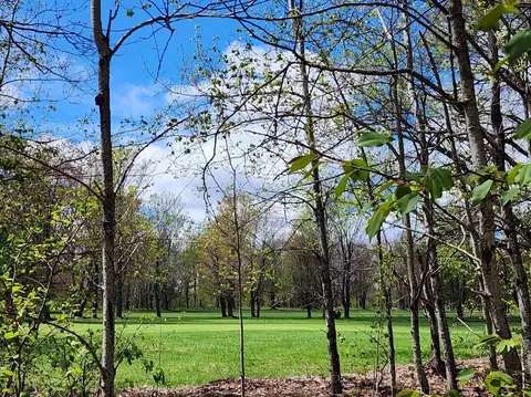 tbd Fairway, Mancelona, MI 49659