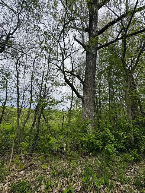 Parcel B3 Bosscher, Manton, MI 49663 photo 13