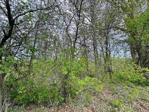 Parcel B3 Bosscher, Manton, MI 49663 photo 11